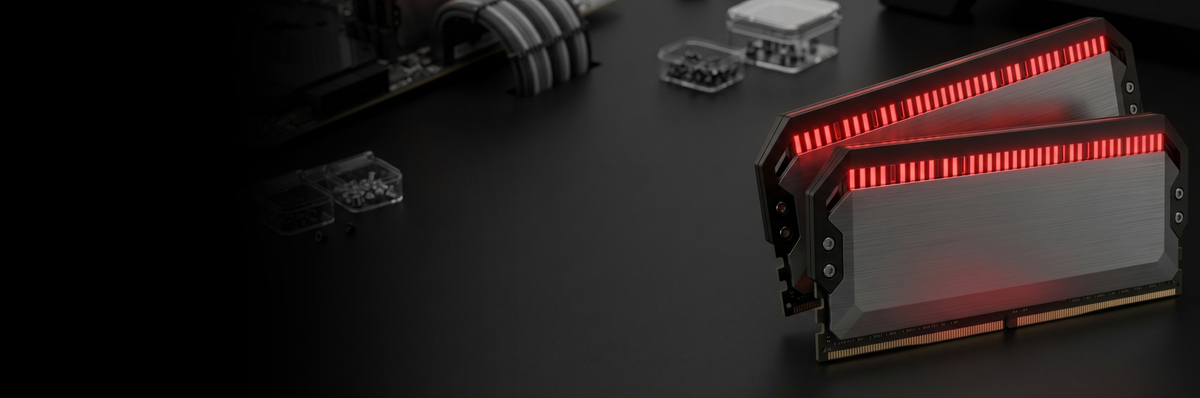 DEMON DDR5 RAM