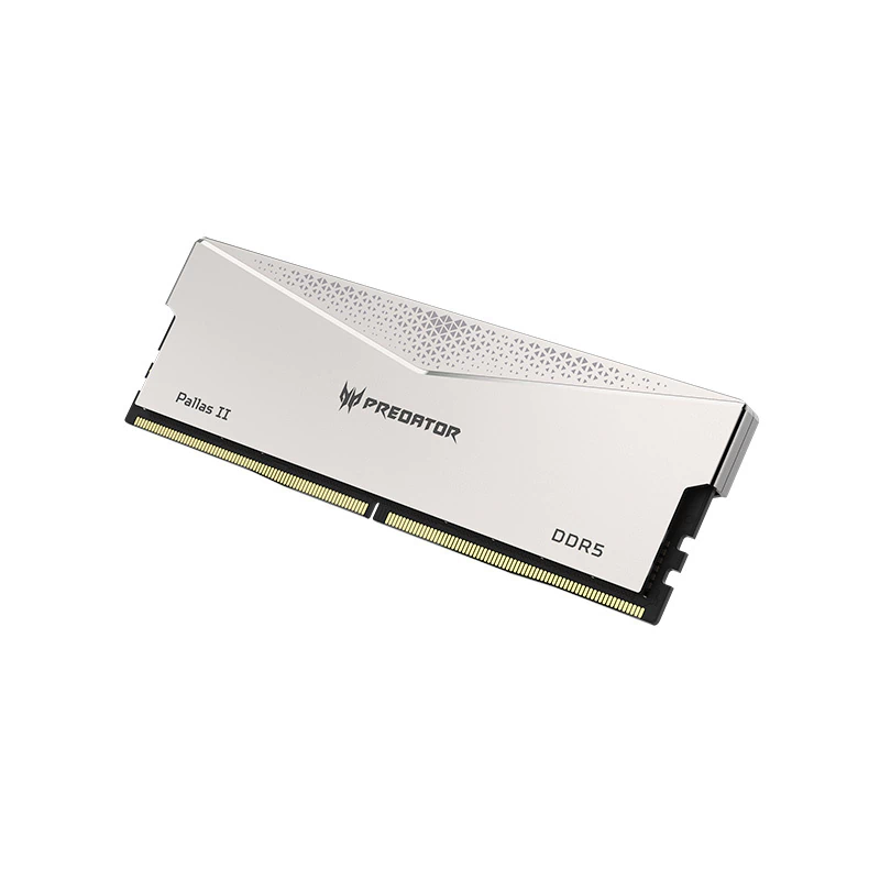 Memoria RAM Predator Pallas II, 24GB, DDR5, 6000MT/S, Plata