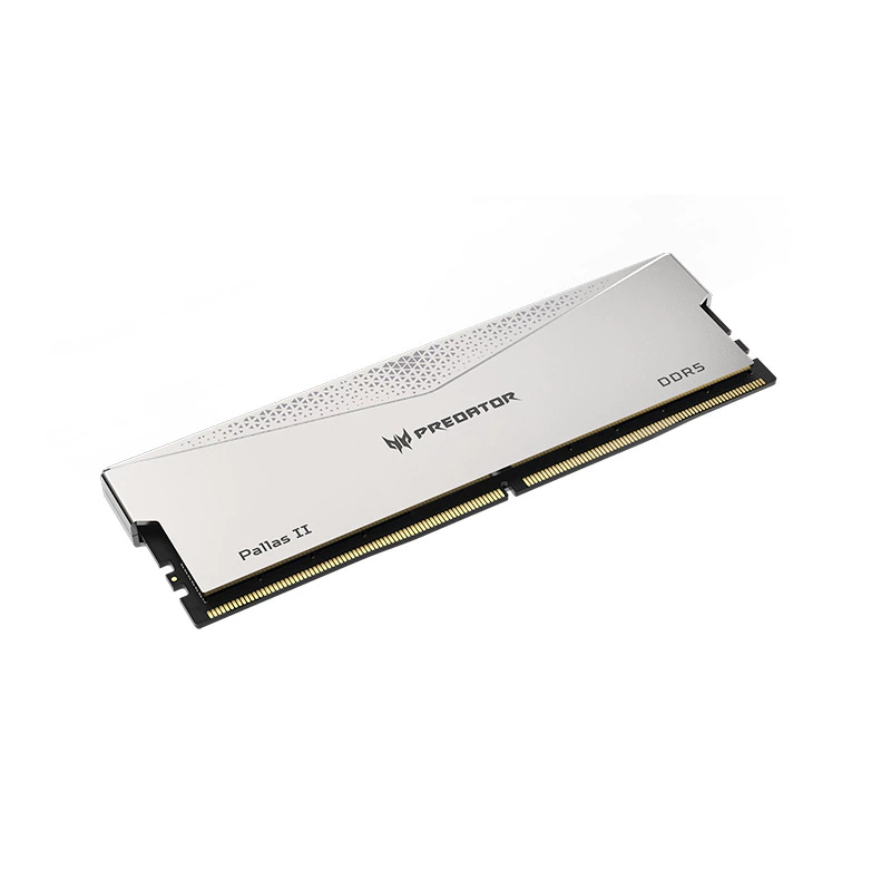 Memoria RAM Predator Pallas II, 24GB, DDR5, 6000MT/S, Plata