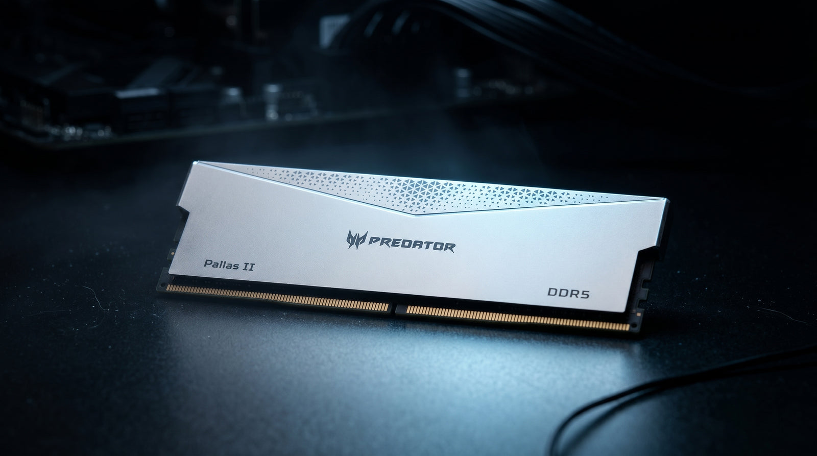DEMON DDR5 RAM